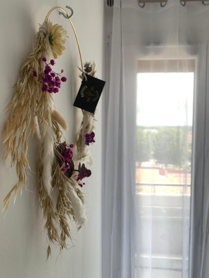 Appartement Le 48 나르본 외부 사진