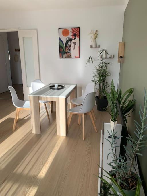 Appartement Le 48 나르본 외부 사진