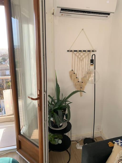 Appartement Le 48 나르본 외부 사진